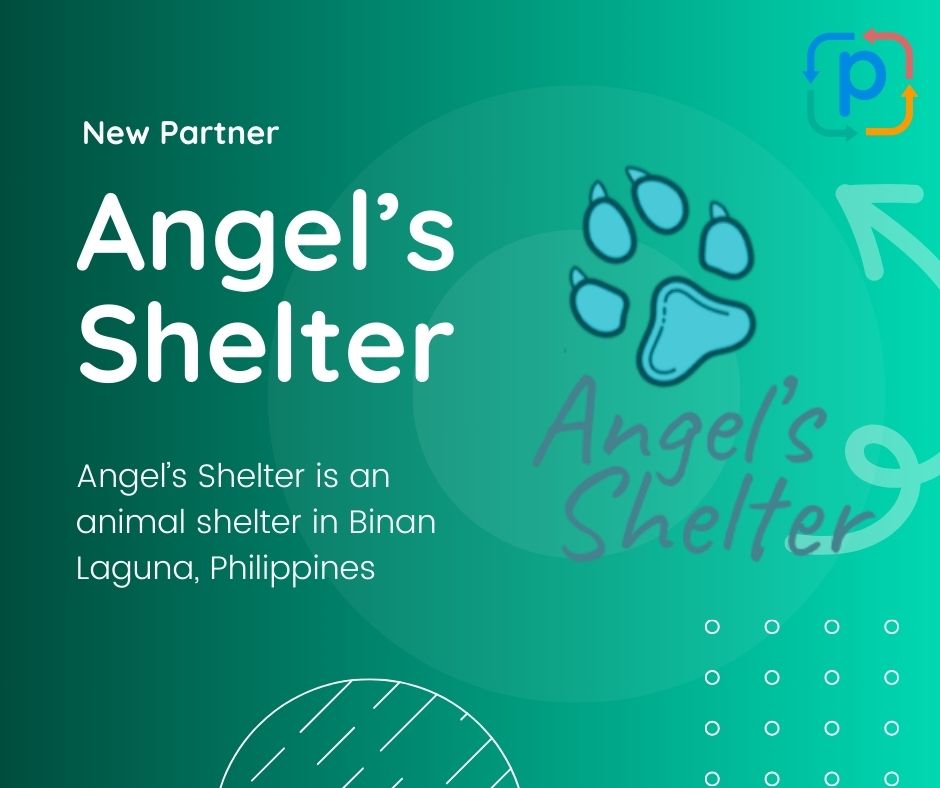 New Partner: Angel's Shelter